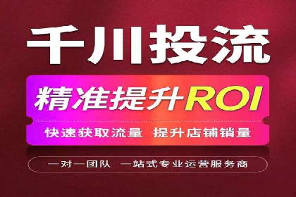 竞价广告的投放技巧与网络推广的实践